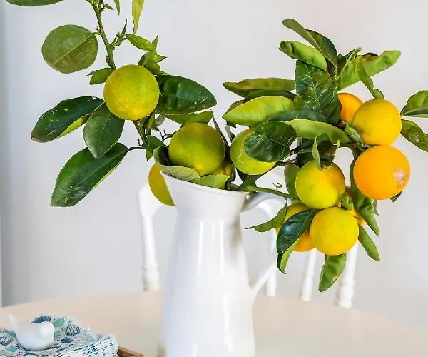 Апартаменты Valandou