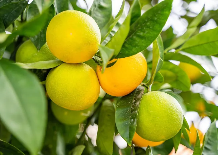 Apartamento Valandou